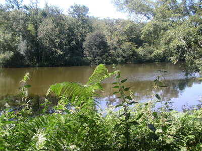 Clisson, 44191,  Loire Atlantique, France, ( le 24-07-2012)., BILD0614