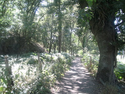Clisson, 44191,  Loire Atlantique, France, ( le 24-07-2012)., BILD0624