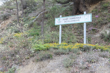 2024-04-14 ROCHE AMERE 2024, IMG_6980