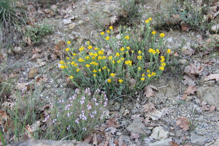 2024-04-14 ROCHE AMERE 2024, IMG_6981
