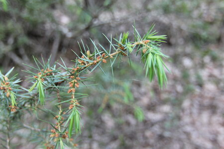 2024-04-14 ROCHE AMERE 2024, IMG_6989