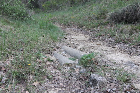 2024-04-14 ROCHE AMERE 2024, IMG_6996