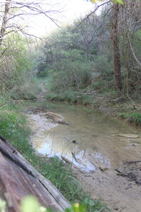2024-04-14 ROCHE AMERE 2024, IMG_7109