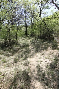 2024-04-14 ROCHE AMERE 2024, IMG_7444