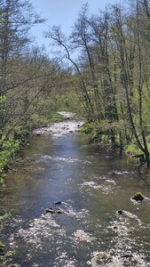 Peschadoires - viaduc de la Sioule, IMG_20240419_140031