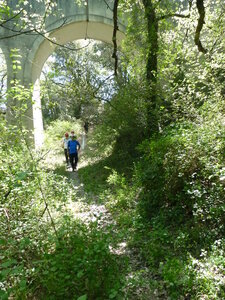 2024-04-14 ROCHE AMERE 2024, P1040327
