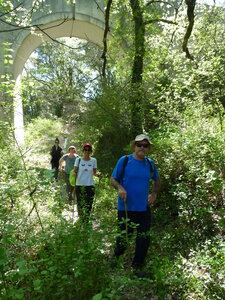 2024-04-14 ROCHE AMERE 2024, P1040328