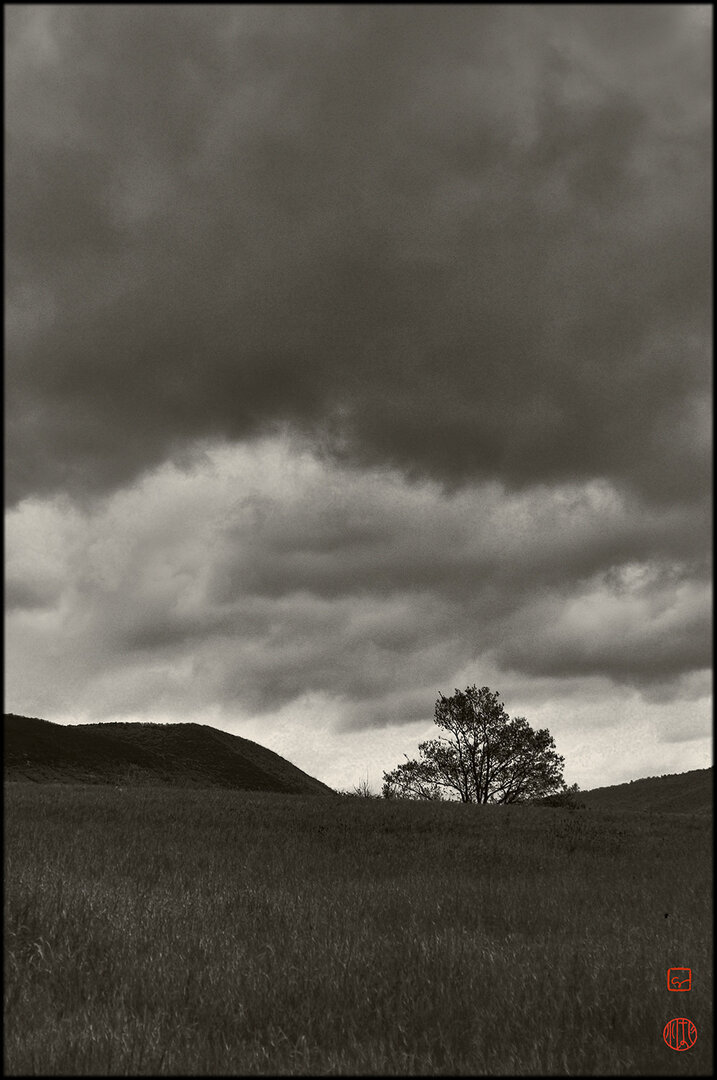 Format portrait
Sous un ciel de nuages noirs menaçants occupant 2/3 de la hauteur, au premier plan une prairie en herbe déjà hautes montant en pente douce jusqu’à un arbre au jeune feuillage à contre jour, décentré sur la droite de l’image. De part et d’autre, dans les lointains les profils doux de deux hauteurs couvertes de végétation presque noire, laissant entre elles juste l’espace nécessaire pour loger l’arbre sur un fond de ciel plus lumineux que le reste des nuages.