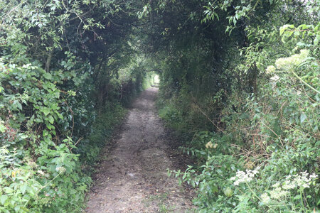 20210823 Montreuil-sur-Mer - Etaples, IMG_2446 Le départ du sentier du Mont-de-Sorrus