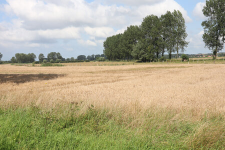 20210823 Montreuil-sur-Mer - Etaples, IMG_2460 Vue depuis le chemin des Prés-Hauts (La Calotterie)
