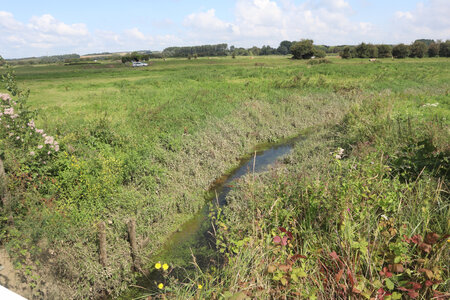 20210823 Montreuil-sur-Mer - Etaples, IMG_2463 Les marais de la Canche à Valencendre (Saint-Josse)