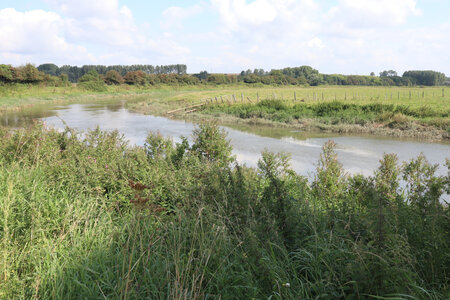 20210823 Montreuil-sur-Mer - Etaples, IMG_2465 La Canche au lieu-dit Les Baraques (Saint-Josse)