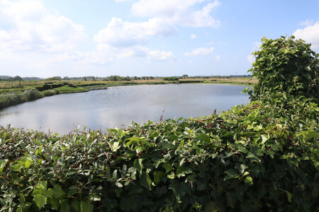 20210823 Montreuil-sur-Mer - Etaples, IMG_2469 Mare de chasse à La Toupiole (Saint-Josse)