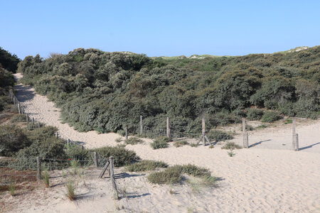 20210824 Etaples - Berck, IMG_2494 La dune de la pointe du Touquet