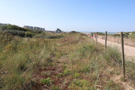 20210824 Etaples - Berck, IMG_2499 L’accès au front de mer du Touquet depuis la dune.