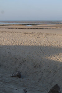 20210825 Berck - Quend-Plage, IMG_2542 Entre Berck et la pointe du Haut-Banc (pano 4)