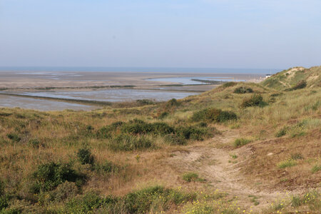 20210825 Berck - Quend-Plage, IMG_2569 Les dunes au nord de la baie de l’Authie
