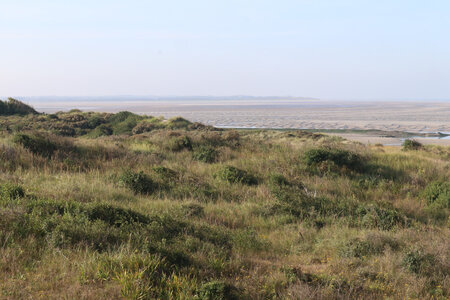 20210825 Berck - Quend-Plage, IMG_2570 Vue depuis les dunes du nord de la baie de l’Authie