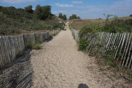 20210825 Berck - Quend-Plage, IMG_2579 Le sentier de la dune entre Fort-Mahon-Plage et Quend-Plage