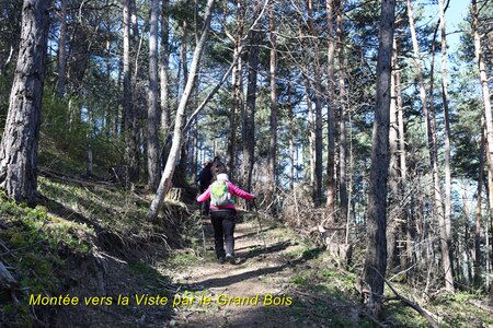 La Viste, La viste 008