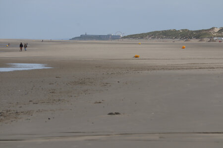 20210826 Quend - Le Crotoy, IMG_2585 La plage de Quend, Berck en arrière plan.