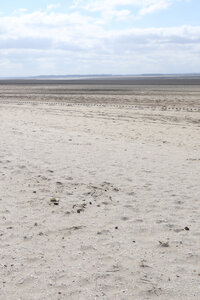 20210826 Quend - Le Crotoy, IMG_2594 La Baie se Somme vue depuis la Pointe de Saint-Quentin (pano 3)