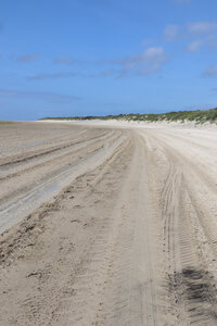 20210826 Quend - Le Crotoy, IMG_2607 Le long du Marquenterre (pano 6)