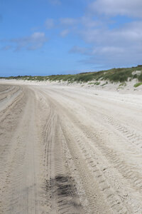 20210826 Quend - Le Crotoy, IMG_2608 Le long du Marquenterre (pano 7)