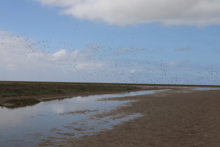 20210826 Quend - Le Crotoy, IMG_2610 La Maye en baie de Somme