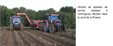 framacarte agriculture, récolte pommes de terre nord de la france