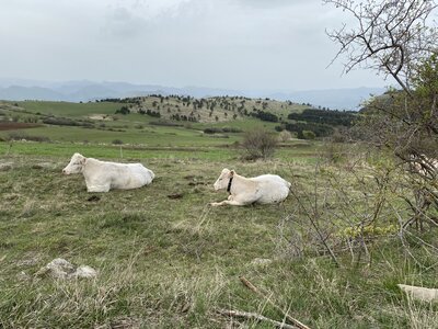 Tour du Puy de Manse, IMG_0525