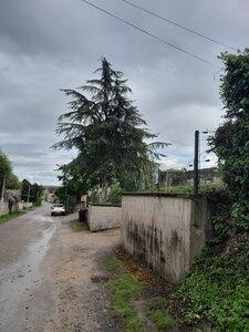 Grande balade, 09