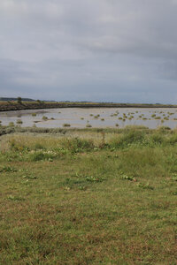 20210827 Le Crotoy - Saint-Valery-sur-Somme, IMG_2656 Le Crotoy et le bassin de chasse depuis le bout e la digue (pano 1)
