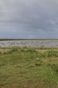 20210827 Le Crotoy - Saint-Valery-sur-Somme, IMG_2657 Le Crotoy et le bassin de chasse depuis le bout e la digue (pano 2)