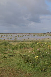 20210827 Le Crotoy - Saint-Valery-sur-Somme, IMG_2658 Le Crotoy et le bassin de chasse depuis le bout e la digue (pano 3)