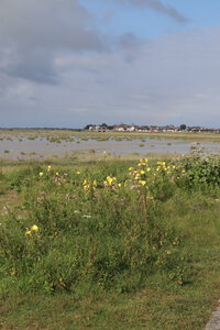 20210827 Le Crotoy - Saint-Valery-sur-Somme, IMG_2659 Le Crotoy et le bassin de chasse depuis le bout e la digue (pano 4)