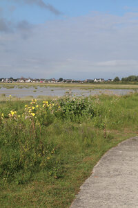 20210827 Le Crotoy - Saint-Valery-sur-Somme, IMG_2660 Le Crotoy et le bassin de chasse depuis le bout e la digue (pano 5)