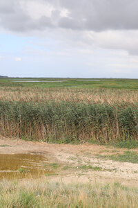 20210827 Le Crotoy - Saint-Valery-sur-Somme, IMG_2669 La baie de somme vue depuis la digue de Ponthoile (Pano 4)