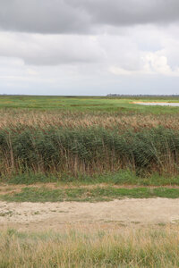 20210827 Le Crotoy - Saint-Valery-sur-Somme, IMG_2671 La baie de somme vue depuis la digue de Ponthoile (Pano 6)