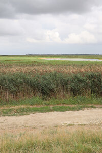 20210827 Le Crotoy - Saint-Valery-sur-Somme, IMG_2672 La baie de somme vue depuis la digue de Ponthoile (Pano 7)