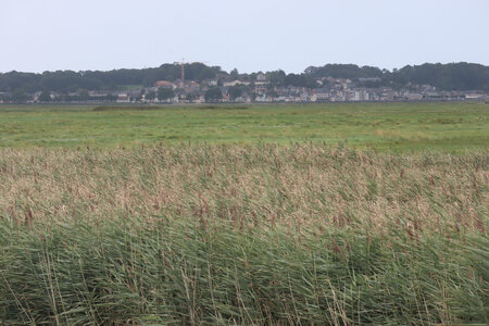 20210827 Le Crotoy - Saint-Valery-sur-Somme, IMG_2673 Saint-Valery vu depuis la digue de Ponthoille
