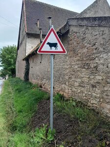 Petite balade, 08