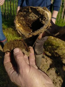 biodynamie, IMG_20240410_102931