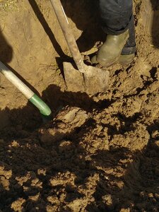 biodynamie, IMG_20240410_103132