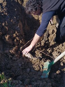 biodynamie, IMG_20240410_103256
