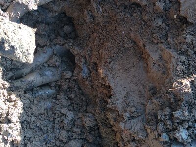 biodynamie, IMG_20240410_103634