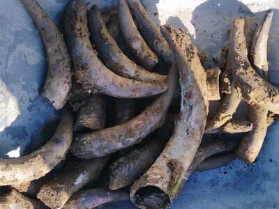 biodynamie, IMG_20240410_103920