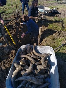 biodynamie, IMG_20240410_104518