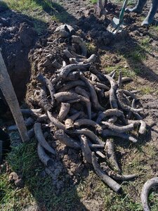 biodynamie, IMG_20240410_104611