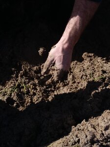 biodynamie, IMG_20240410_104715